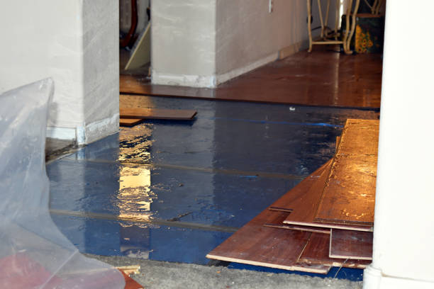 Professional Burst Pipe Cleanup technician working in Argyle, MI