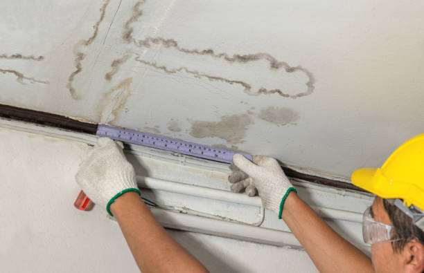 Reliable Burst Pipe Cleanup contractor in Argyle, MI by Water Damage Irwin